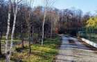 Teren intravilan vizavi de Padurea Snagov - 5
