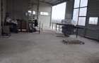 Vand teren intravilan 17260 mp cladiri dn 59 jebel - 13