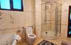 Proprietate zona Manastirea Bistrita, in cadru natural,cu toate facilitatile - 14