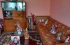 Casa Sat Ghizdaru, Giurgiu - 5