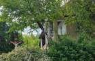 Casa individuala, cu Teren de 12 ari, Str Principala Voiniceni - 13