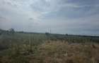 Teren intravilan 7.100 mp Plaiul Vulcanesti, Carcea | Toate utilitatile | 65 /mp negociabil - 5