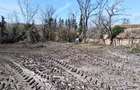 Vand teren intravilan sat COMEAT,comuna Bogda, jud.Timis - 7