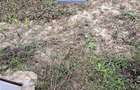 Casa 3 camere, teren 549 mp, zona Barati