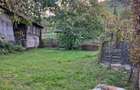 Casa cu gradina si pomi fructiferi - teren 2401 mp - loc. Moldovenesti - 1