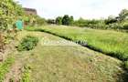 Casa 3 camere,102 mp, 1330 mp teren, 0% comision - 6
