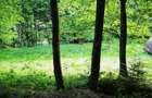 Teren munte, Brates- Tarcau- Piatra Neamt, teren cu o cabanuta - 4