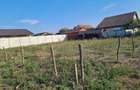 teren intravilan Livada de bihor - 4