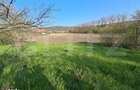 Casa de vanzare la tara Sat Nandra, Comuna Bichis, Judet Mures - 15