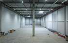 Spatiu Industrial - 10000 mp - Logistica - Productie - Depozitare - 7
