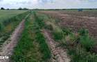 Teren intravilan de vanzare | Peris | 10.000 mp | Investitie sigura - 7