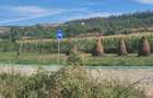 Teren intravilan Benic - 4