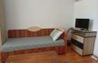 vand camere de camin zona dragaica - 1