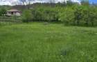 Teren intravilan Gura Teghii-Buzau la munte 1504mp - 3