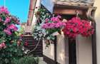 Vand casa cu piscina - 5