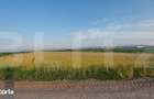 Teren arabil 9.000 mp in Moacsa investitie intr-o zona agricola cu - 2