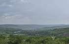 Vand teren Intravilan Padureni, Com. Chinteni , 2900 mp - 5