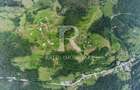 Teren 18.509 m | Izlaz | Arieseni - 1