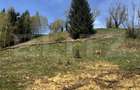 Teren in Vatra Dornei, str Rosu, 8450 mp, extravilan + intravilan - 9