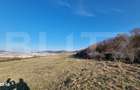 Teren extravilan, 5600mp, ideal investitie de viitor, zona Vidului, Fl - 2