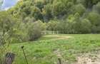 Teren la Transapuseana si unul in Mogos Poieni - 4