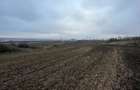 Teren Dorohoi - 23000 mp - Sau - Parcele 1000mp, 900mp, 1500mp, etc. - 4