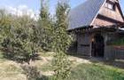 teren si casa in Barnova, proprietar - 5