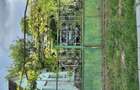 imobiliare case de vanzare - 4