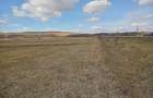 Teren cu deschidere 270 m la E 60,suprafata 1,57 ha,extravilan - 1