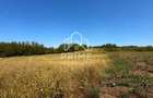 Teren Intravilan Panoramic, Cu Autorizatie Constructie, 800 Mp, Ciugud
