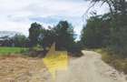 Vânzare teren 1360 mp în Măgurele, strada Codrului - 8