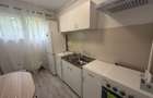 Apartament cu 2 camere de inchiriat Zona Gemenii (Astra), Brasov - 3