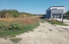DE VANZARE TEREN INTRAVILAN 4000 (2000) MP LOC.1 DECEMBRIE (ILFOV) - 9