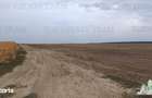 Oferim spre vanzare 6 loturi de teren extravilan (agricol) in Petrachi