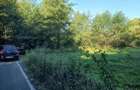 Vand teren intravilan in Beznea 25000 euro - 1