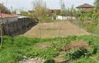 teren intravilan Cordun str Zambileor 16 - 1