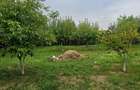 Vand Casa (P+E) ?i Teren sat Nisipoasa, com Plopu, jud. Prahova - DIRECT PROPRIETAR - 5