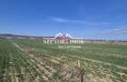 NECTORA IMOB-Teren Intravilan 537 mp, Zona Solay, 250 m de asfalt