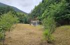 Căsuță de vacanță de vânzare – comuna Alexandru cel Bun, Neamț - 10