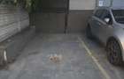 Apartament 3 Camere | 1 Mai | Spatiu comercial | Birouri - 6