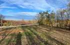 Vand teren intravilan 650mp Paleu zona linistita