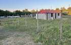 Teren BARBO?I 1000 m2 - 2