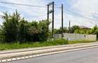 Balotesti - Caciulati, teren intravilan, suprafata 2.596 mp - 3