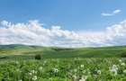 Teren agricol 12 ha parcelat | loturi 0,14-1 ha