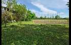 Vand casa - sat Cociu - com Sintereag - 10