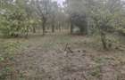 Vand 2 case locuibile - 1