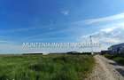 Teren 15000 mp. intravilan, Stefanesti, str. Sticlelor - 5