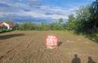 Teren Construcții intravilan de 700 mp, în Crevedia - 5