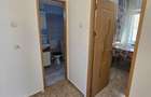 Apartment Brazda lui Novac - 1