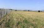 Teren comercial DN 2b Buzau - Ploiesti - Sahateni !